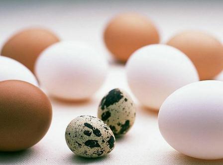 吃什么能提高記憶力？有助于提高記憶力的九種食物