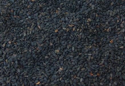 黑芝麻怎么吃最好?吃黑芝麻的好處