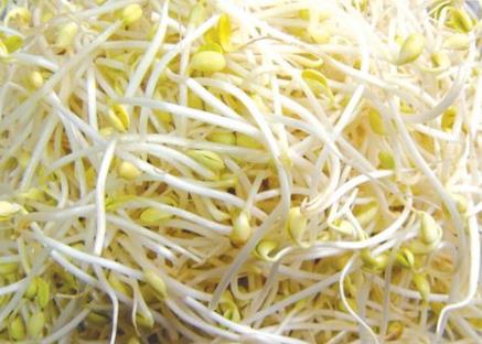 如何挑選黃豆芽?吃黃豆芽的食用禁忌