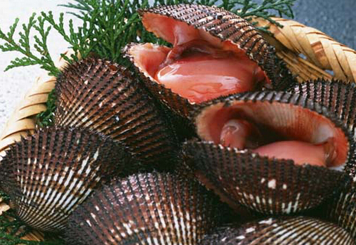 食用魁蚶的注意事項-魁蚶的營養價值