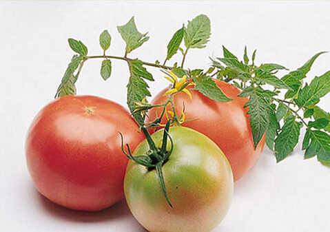 產(chǎn)婦吃什么能催乳?新媽催乳訣竅