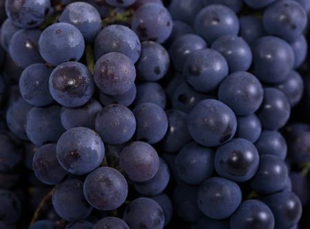 晚上吃葡萄會發(fā)胖嗎？多吃葡萄會長胖嗎