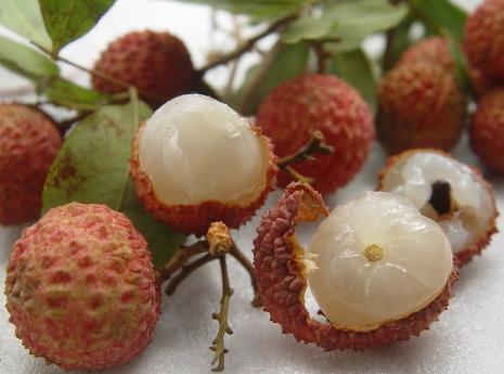 吃荔枝會上火嗎?荔枝吃多了會怎么樣