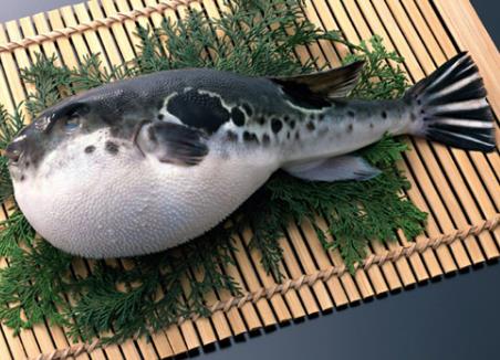 什么食物有毒?12種常見有毒的食物需注意