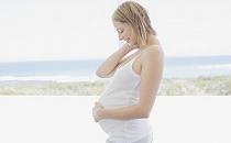 拒絕快餐誘惑-孕婦應規律飲食