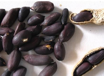 黑花生的營養價值-黑花生怎么吃更有營養