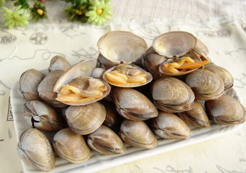 黃蜆子的簡(jiǎn)介-黃蜆子的營(yíng)養(yǎng)價(jià)值