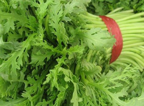 吃茼蒿有什么好處?茼蒿的功效與作用