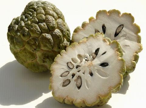 釋迦果的營養(yǎng)價值-釋迦果的功效與作用