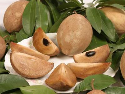 人心果怎么吃?人心果的功效與作用營養(yǎng)成分