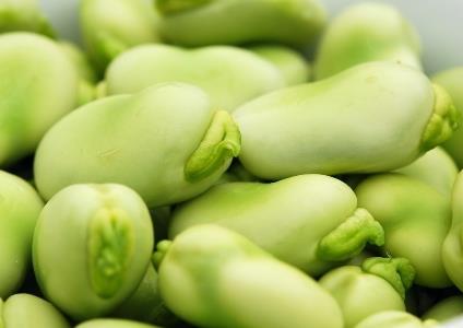 吃胡豆有什么好處?胡豆的功效與作用