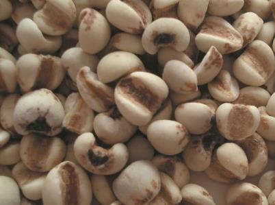 吃薏米有什么好處?薏米的功效與作用及食用方法