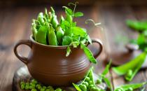 產婦吃豆類蔬菜可以增加乳汁