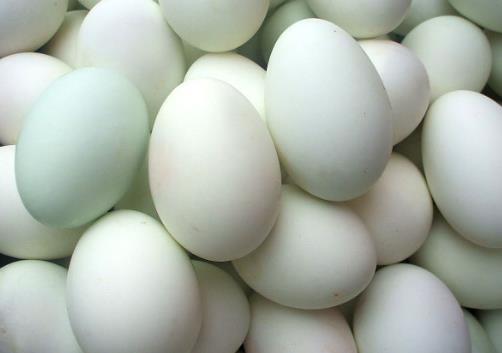 如何辨別真假鴨蛋?識別假鴨蛋的方法