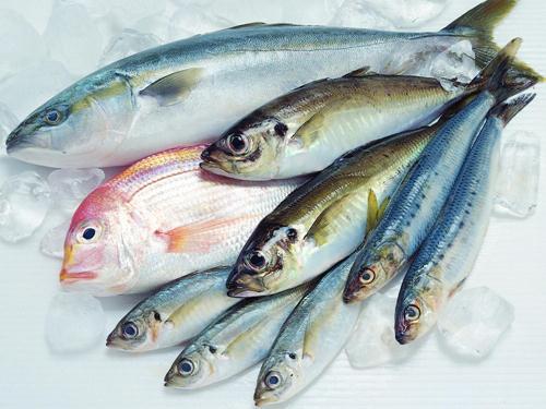 如何區別冰鮮魚與速凍魚?鑒別海鮮干品質量好壞優劣的方法
