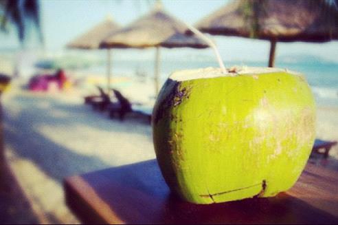 如何挑選新鮮椰子?椰子的挑選方法