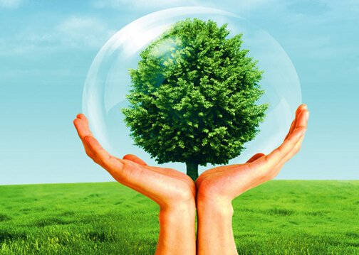 什么是保險公估人？保險公估的發展