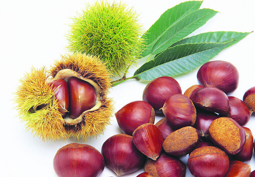 板栗怎么去皮？板栗的吃法