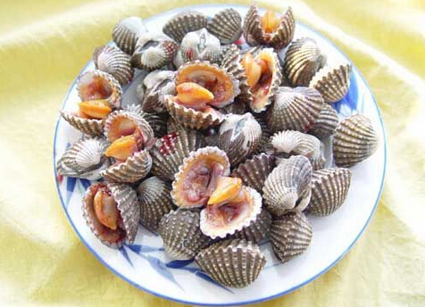 泥蚶的做法-泥蚶的營(yíng)養(yǎng)價(jià)值