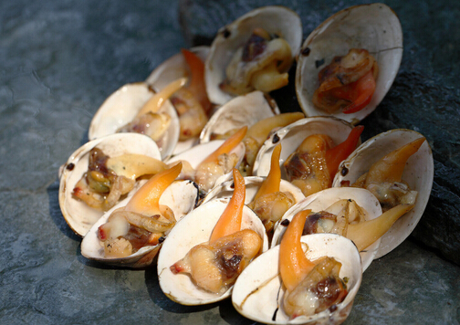 食用鳥貝的注意事項(xiàng)-鳥貝的做法