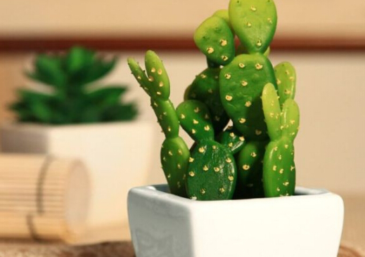 防輻射植物-什么東西防輻射最好?