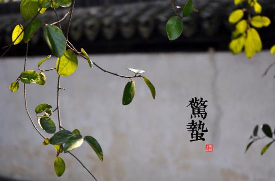 驚蟄是什么時候？二十四節(jié)氣之驚蟄的由來與含義