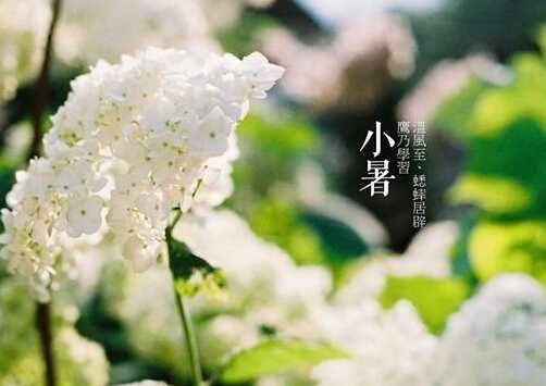 小暑什么意思?小暑怎么預(yù)防中暑