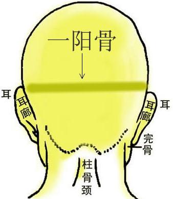 骨相圖解:一陽骨