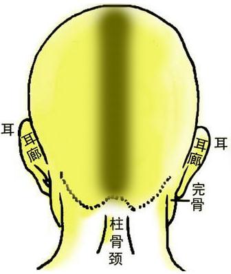 骨相圖解:炁懸針骨