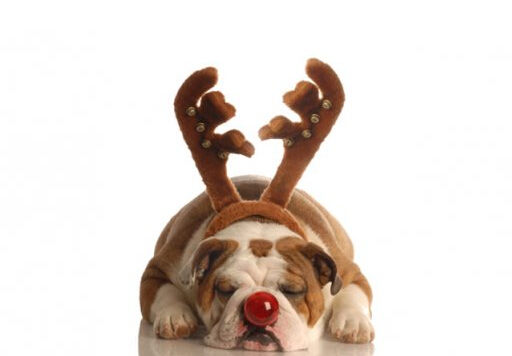 鼻子紅怎么辦?鼻子紅是什么原因?