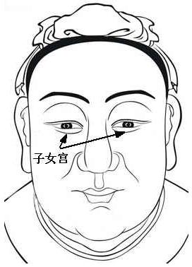 面相算命圖解:面相十二宮圖之子女宮