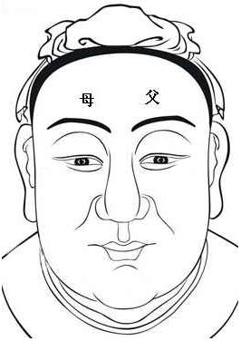 面相算命圖解:面相十二宮之父母宮