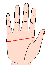 斷掌手相圖解:男人斷掌手相圖解