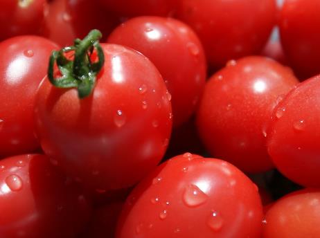 寶寶能吃圣女果嗎?寶寶吃圣女果的做法