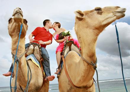 旅行結(jié)婚的具體流程及注意事項