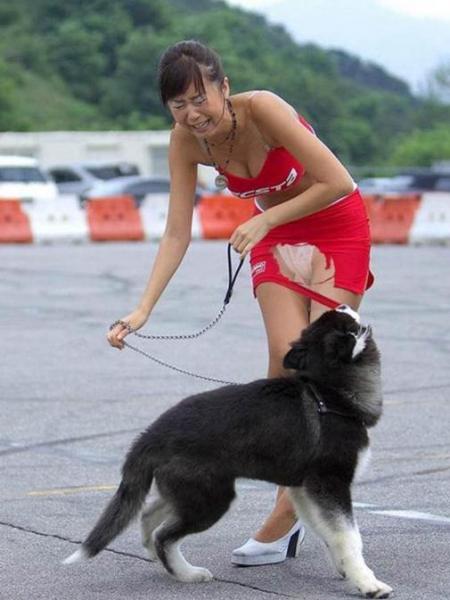 邪惡內涵圖~超短裙美女花容失色啊,我想知道結局如何