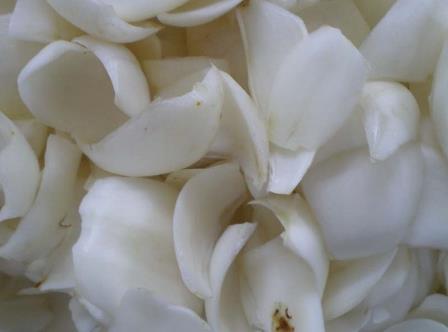 孕婦能吃百合嗎?孕婦吃百合有什么好處