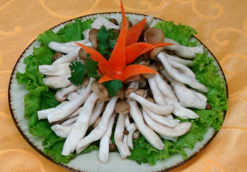 哺乳期可以吃蟹味菇嗎?吃蟹味菇的禁忌