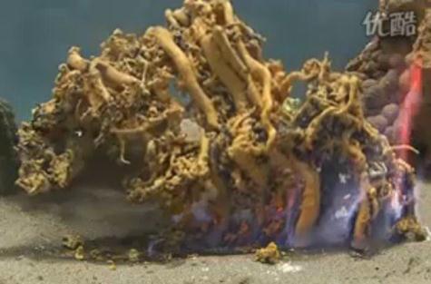 為什么叫法老之蛇?著名化學實驗法老之蛇硫氰化汞膨脹反應