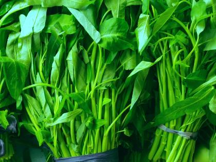 產婦吃空心菜有什么好處?產婦吃空心菜的做法