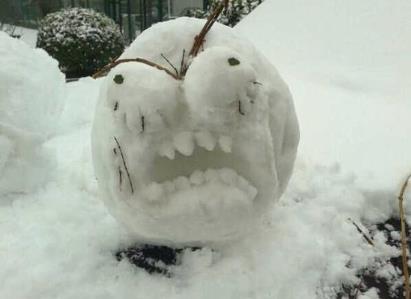 奇葩是什么意思？網絡用語奇葩男女是什么意思