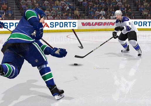 冰球的技巧-冰球運(yùn)動對于健身的益處