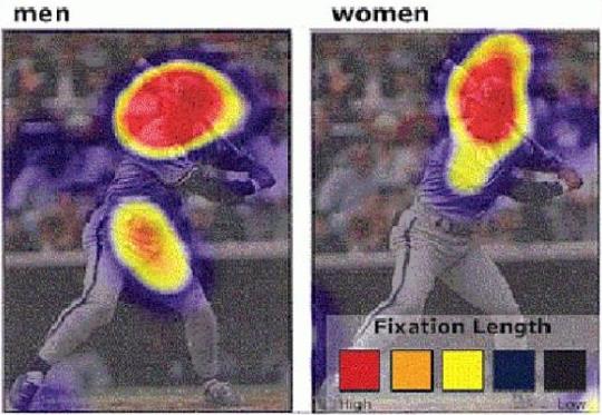 看棒球比賽，男人看棒球運(yùn)動員的臉和身體，而女人只看臉。