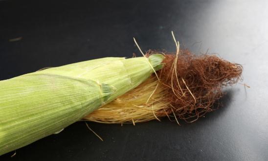 小小玉米須的大大功效:玉米須食療方