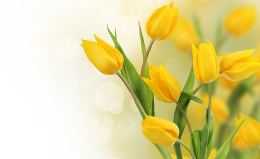 你有睡眠障礙嗎？ 教你正確睡眠