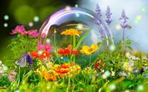 春季適合吃什么食物？春季合理的飲食習(xí)慣