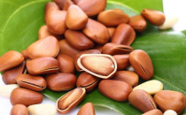 男人長壽吃什么？松子助強身