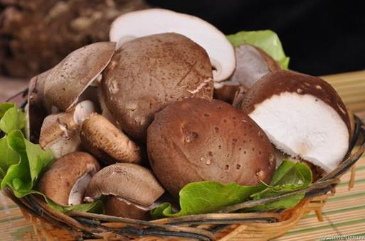 如何提高免疫力?提高免疫力的食物有哪些