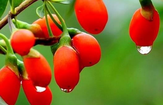 如何預防沙眼的發生?