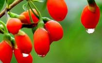 如何預防沙眼的發生？